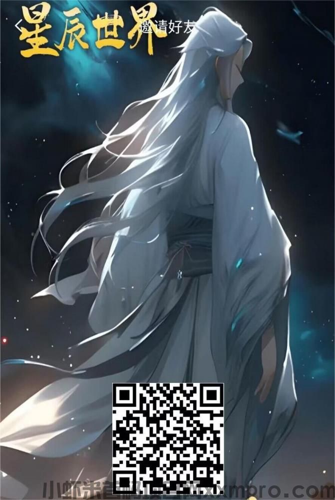 网络项目