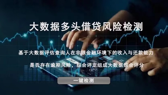 网络项目