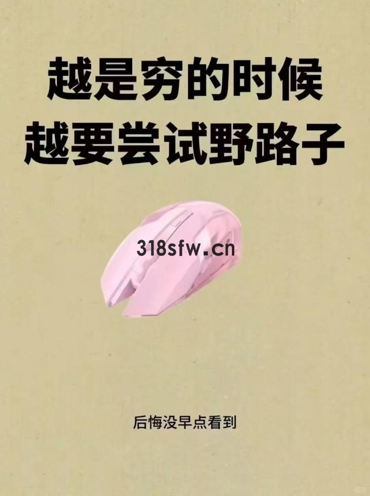 网络项目